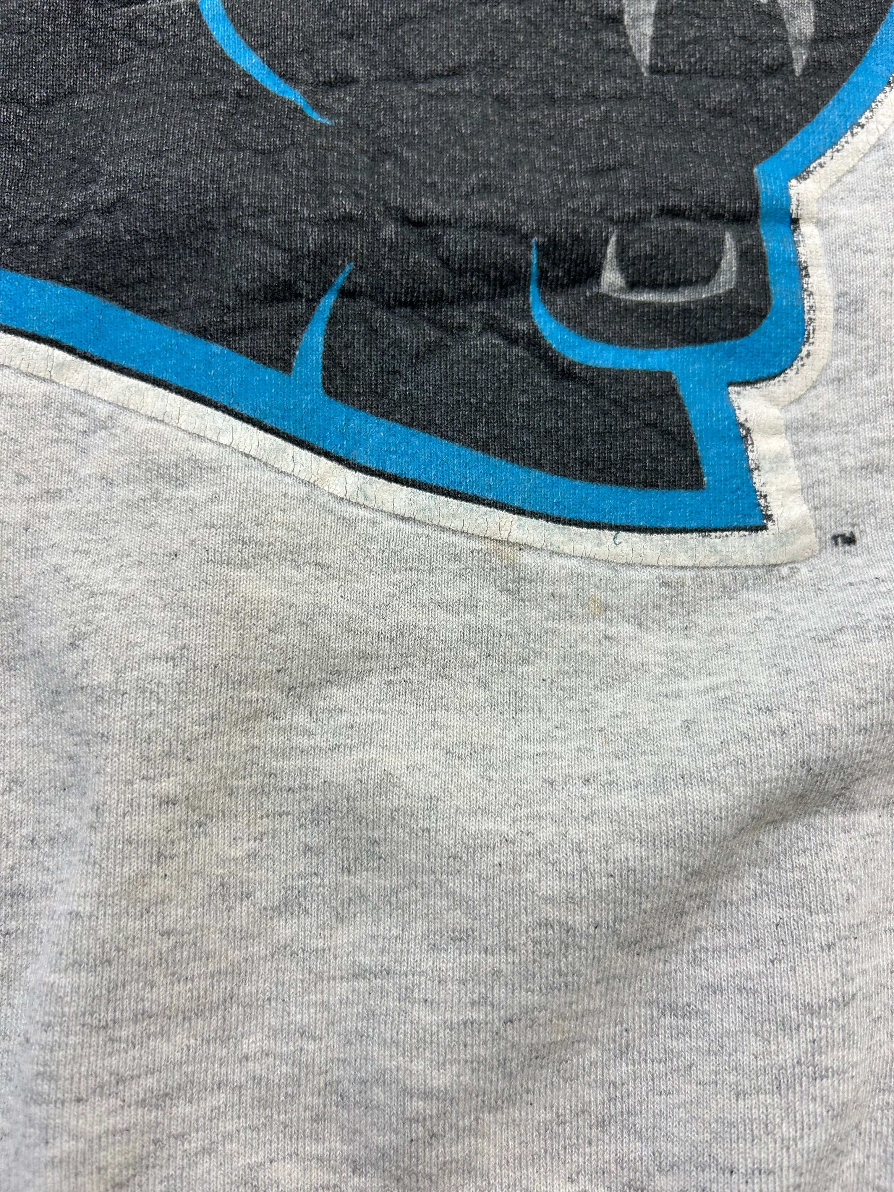 Carolina Panthers Spellout Sweatshirt